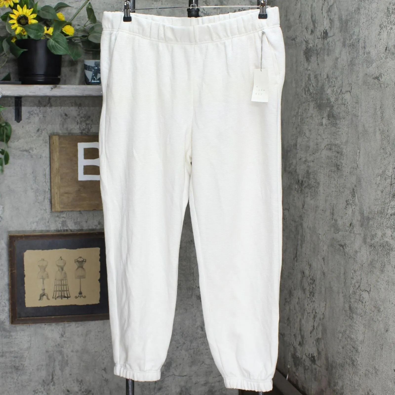 A New Day Women's High-Rise Ottoman Jogger Pants