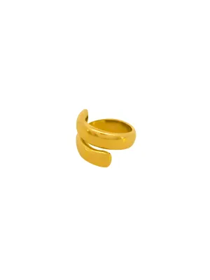 Anillo Espiral Abierto