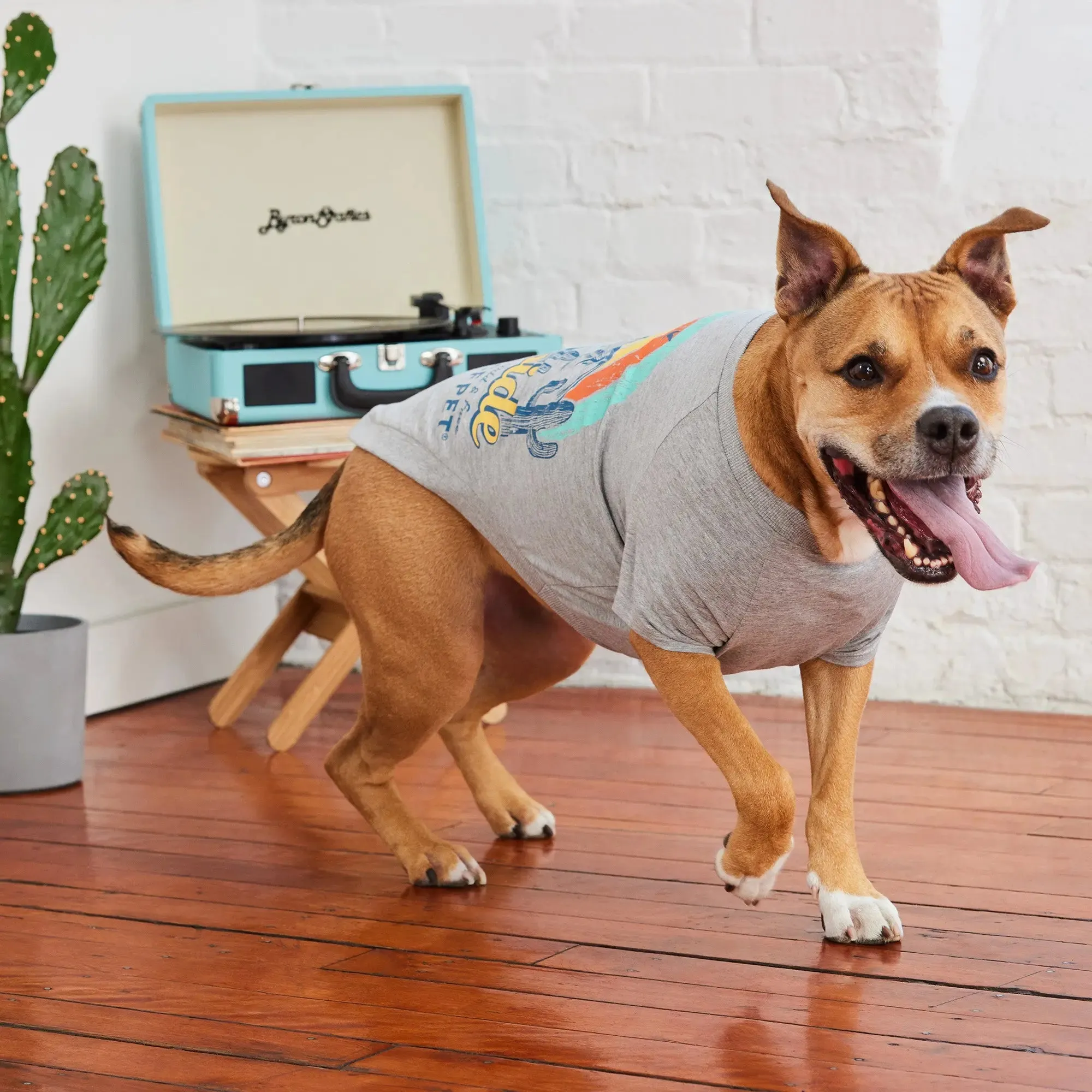 Graphic Tee Dog T-Shirt | Heather Grey