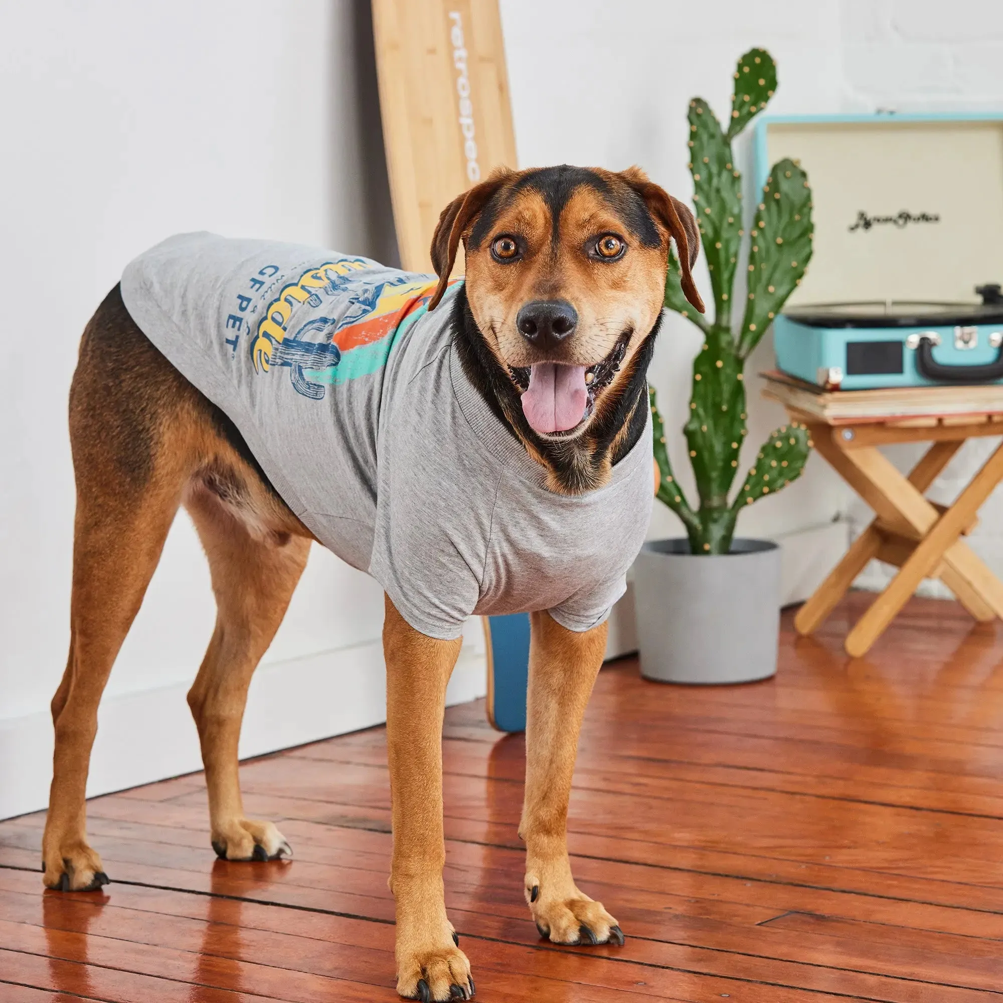 Graphic Tee Dog T-Shirt | Heather Grey