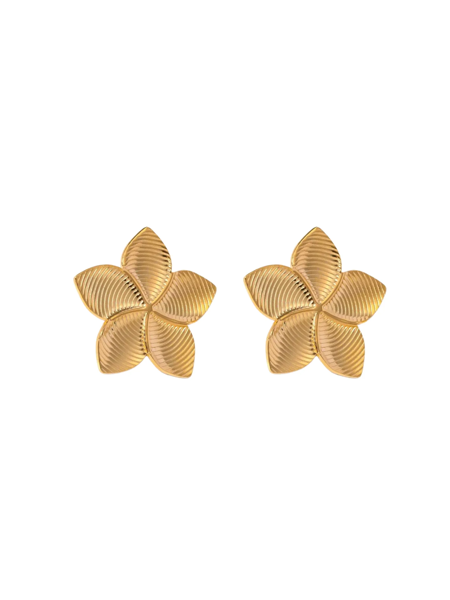 Par Arete Flor Cinco Petalos