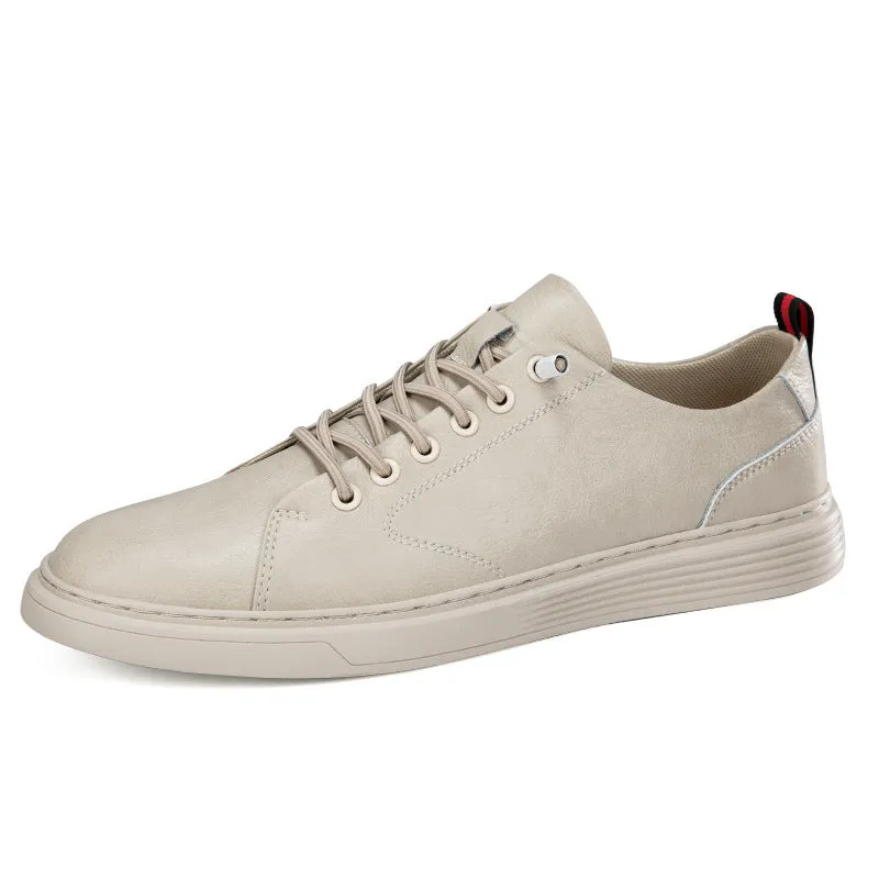 Student Low-Top Sneakers for Comfort and Versatility | EnigmaParis