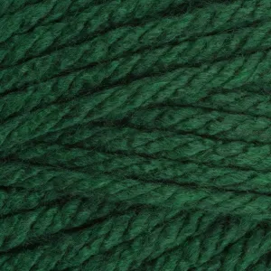 Stylecraft | Special XL Super Chunky | Bottle 1009