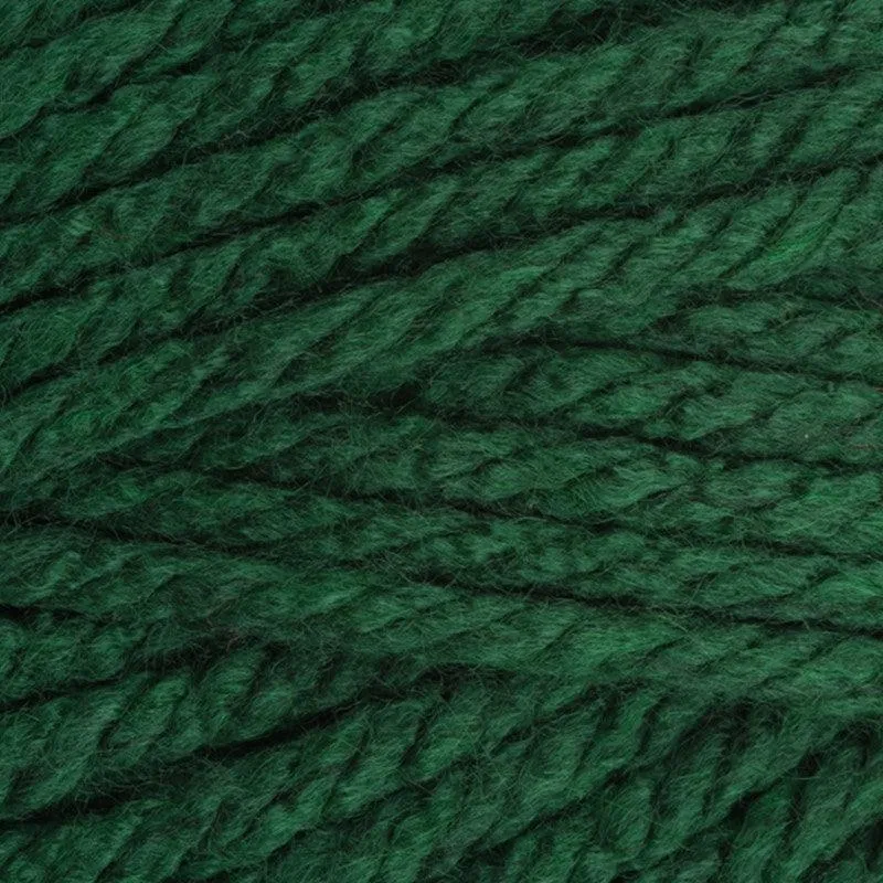 Stylecraft | Special XL Super Chunky | Bottle 1009